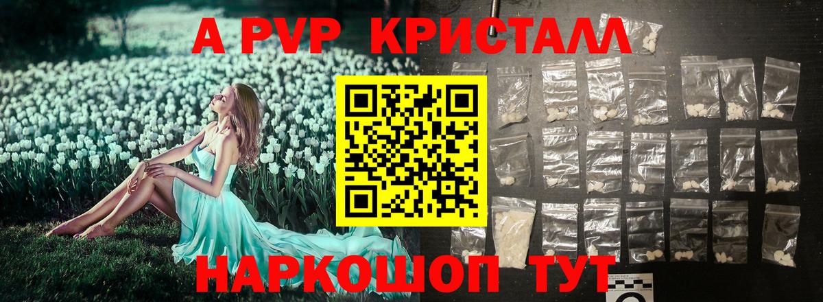 Alfa_PVP СК КРИС Карабулак