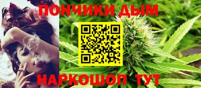 индика Гагарин