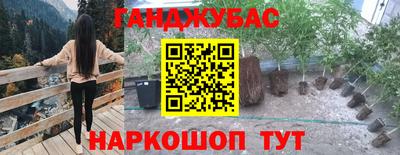 индика Гагарин