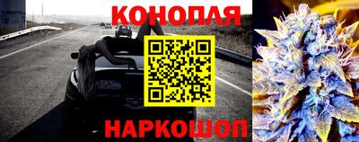 индика Гагарин