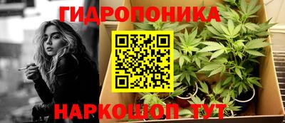 скорость Гай