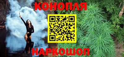 индика Гагарин