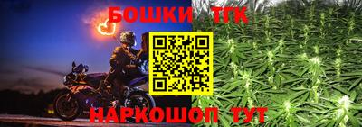 индика Гагарин