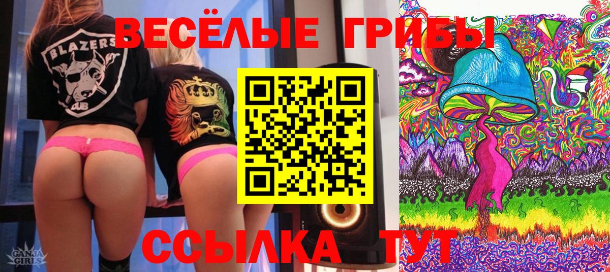 Галлюциногенные грибы мицелий Карабулак