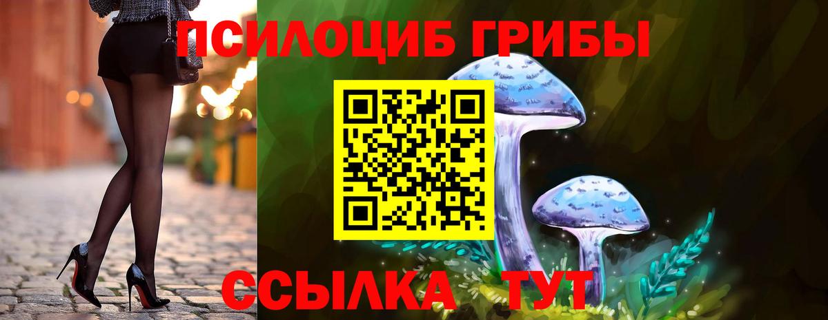 Галлюциногенные грибы Psilocybine cubensis  Вход с VPN  Карабулак 